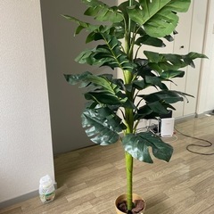 無料で差し上げます。(商談中)