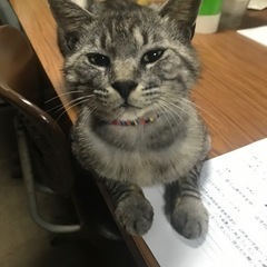 お悩み解決します😺