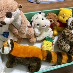 【決まりました！】プーさん、レッサーパンダ、などぬいぐるみ［取り...