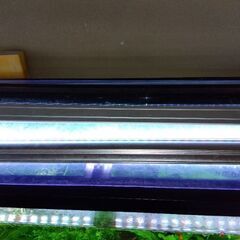 90水槽セット。台は120用手作りの画像