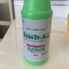 (明日正午まで)ビーンスターク　beanstalk ピュリファン...