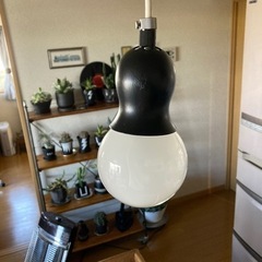 照明電気