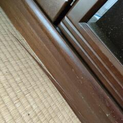 【1月15日に処分予定】棚の画像