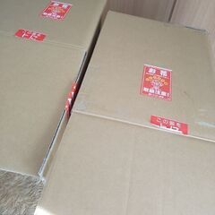 鉢花用段ボール箱　2個セット　ポット　植木　フラワーギフトの画像