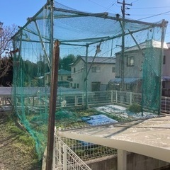 バッティングゲージ、ソフトボール3号球等約100球、ティー用