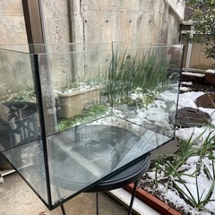 ガラス水槽の画像