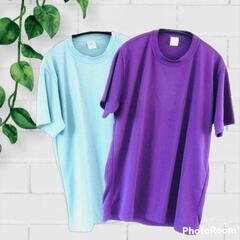まとめ売り2枚 ユナイテッドアスレ【L】メンズ Tシャツ スポー...