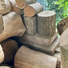 丸太原木(格安)の画像