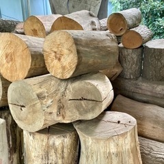 丸太原木(格安)の画像