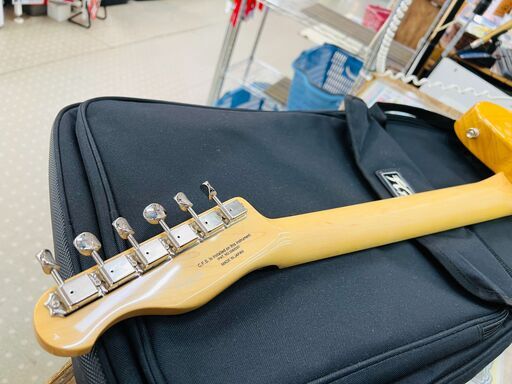 Fujigen Neo Classic NTL10MAHL VNT