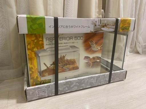 レプテリア　500