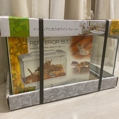 レプテリア　500