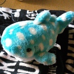 サメ ぬいぐるみ