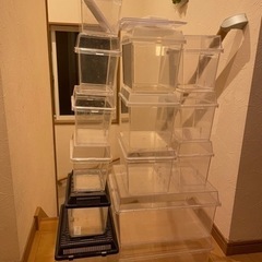 コバエシャッターなど色々(昆虫飼育用品)
