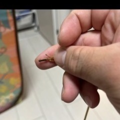 18金ネックレス　造幣局マーク入り