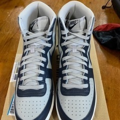 NIKEターミネーター