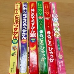 はじめてのずかん　絵本の画像