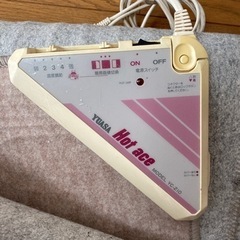 二畳用　ホットカーペットの画像