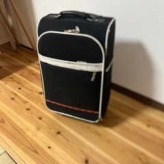 キャリーバック