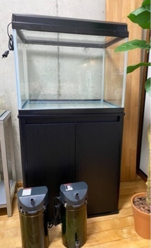 水槽 エーハイムセット