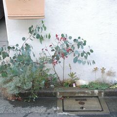 webサイトの記事更新の画像