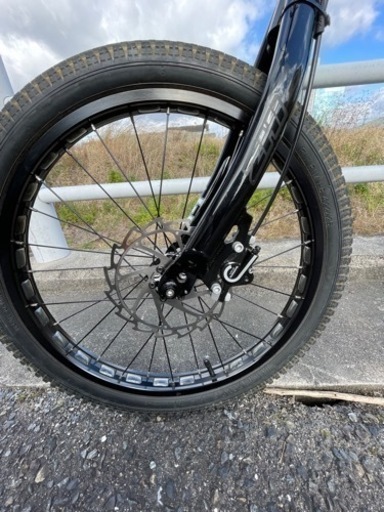 トラ車　BIONIC  20インチ