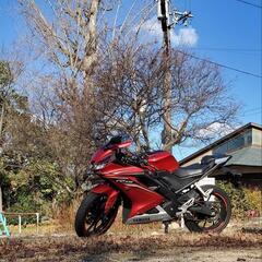 ツーリング仲間募集します(^-^)