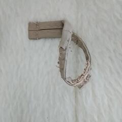 レディースコートの画像