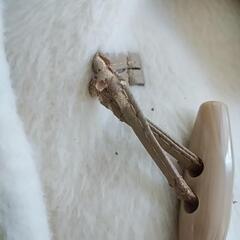 レディースコートの画像