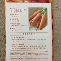 ミニニンジンの種(撒きどき8月、3〜4月)の画像