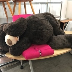 ※終了※コストコ★巨大クマ　ぬいぐるみ　１３５cmぐらい？