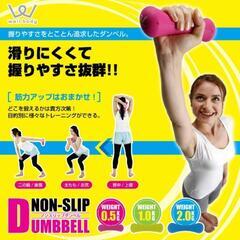 【無料】アルインコ(ALINCO) ノンスリップダンベル 【1.0kg】
の画像