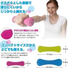 【無料】アルインコ(ALINCO) ノンスリップダンベル 【1.0kg】
の画像