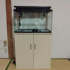 60cm水槽セット
