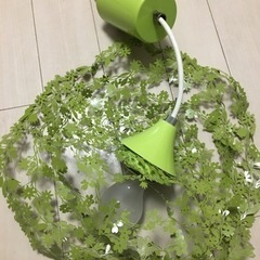 かわいい照明の画像