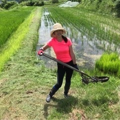 自分の時間を使って無農薬農業を支えませんか❓長野県千曲市でシェア...