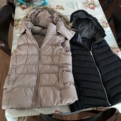 女性用ベスト2着あげます