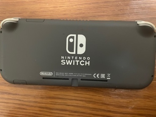 Switchライト　保護フィルム付き