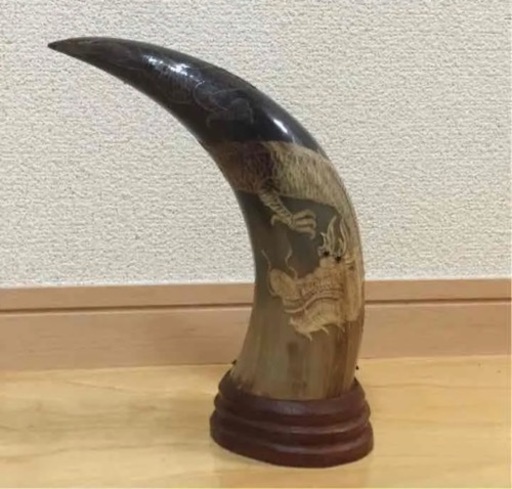 水牛の角(取りにくれる方)