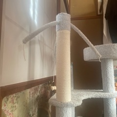 キャットタワーの画像