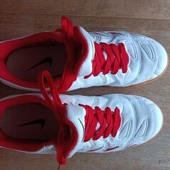NIKEの靴24.5cm