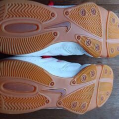 NIKEの靴24.5cmの画像