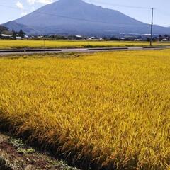 ②玄米　３０キロ　いわてっこ　お米
