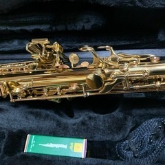 ソプラノサックス Antigua SS4290Nの画像