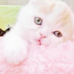 お互いなんでも話せるお友達
