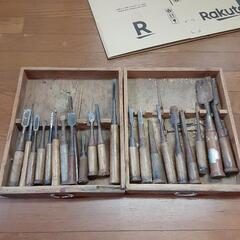 古いノミ約20本