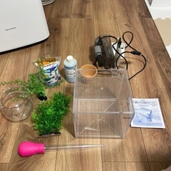 メダカがすぐ育てられるセット