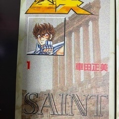 聖闘士星矢　全15巻