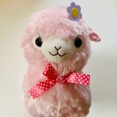 キッズアルパカッソ ももちゃん ピンク 桃色 ふわふわ