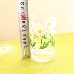 アデリア グラス 野ばな ADERIA GLASS タンブラー10個セット コップ グラス 石塚硝子 昭和レトロ (R2268wY)の画像